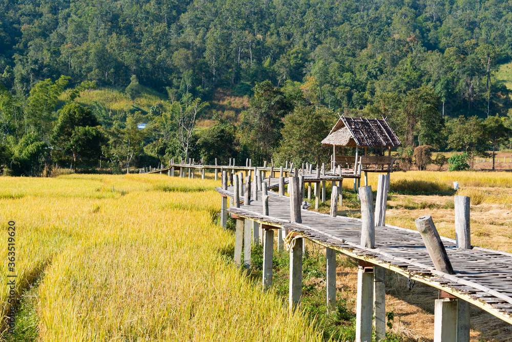 Beautiful scenic view from Pai Bamboo Bridge (Boon Ko Ku So) in Pai, Mae Hong Son Province, Thailand. Beautiful scenic view from Pai Bamboo Bridge (Boon Ko Ku So) in Pai, Mae Hong Son Province, Thailand.