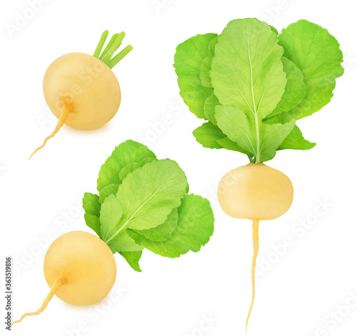 Set of fresh whole and cutted yellow turnip isolated on a white background.