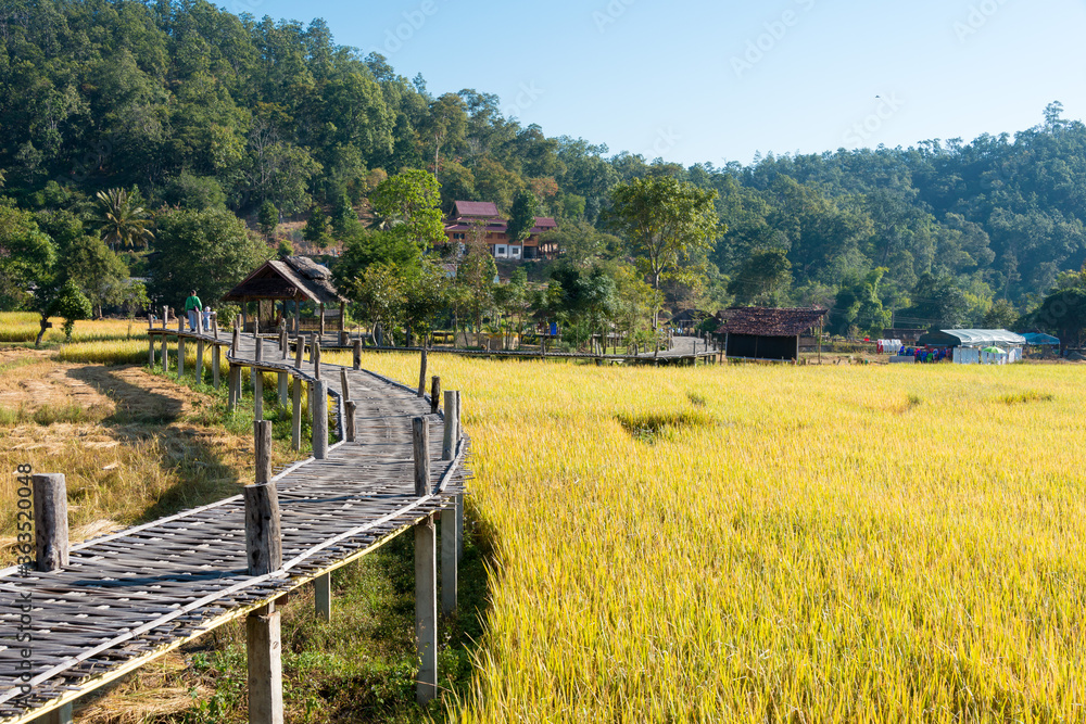 Fototapeta premium Pai Bamboo Bridge (Boon Ko Ku So) in Pai, Mae Hong Son Province, Thailand.