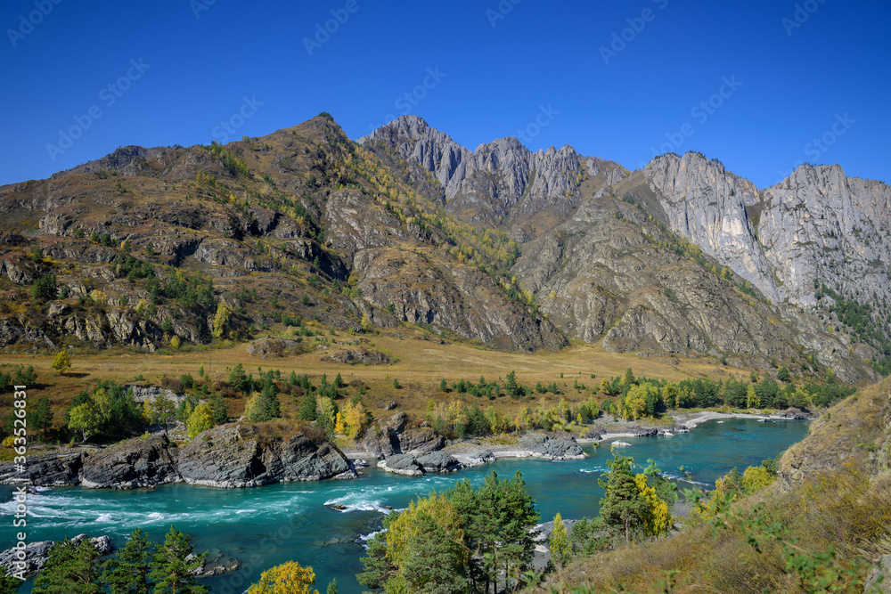 Colorful mountain landscape. River valley on sunny autumn day. Turquoise river on the background of rocks, forest and blue sky. Altai Republic, Russia. Colorful mountain landscape. River valley on sunny autumn day. Turquoise river on the background of rocks, forest and blue sky. Altai Republic, Russia.
