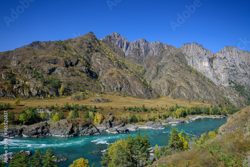 Colorful mountain landscape. River valley on sunny autumn day. Turquoise river on the background of rocks  forest and blue sky. Altai Republic  Russia.