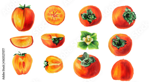Set of persimmons whole and with slices and flowers. Watercolor collection of exotic fruits isolated on a white background. Watercolor illustration of a delicious persimmon. Healthy diet.