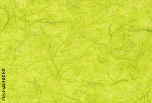 Hand crafted bright green mulberry paper background with inclusions of natural fibers. Extra large highly detailed image.