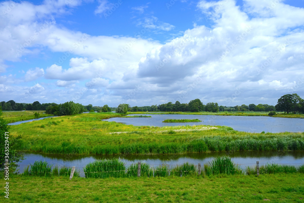 Steinhorster Becken im Sommer, Kreis Gütersloh, Kreis Paderborn, Ostwestfalen Steinhorster Becken im Sommer, Kreis Gütersloh, Kreis Paderborn, Ostwestfalen