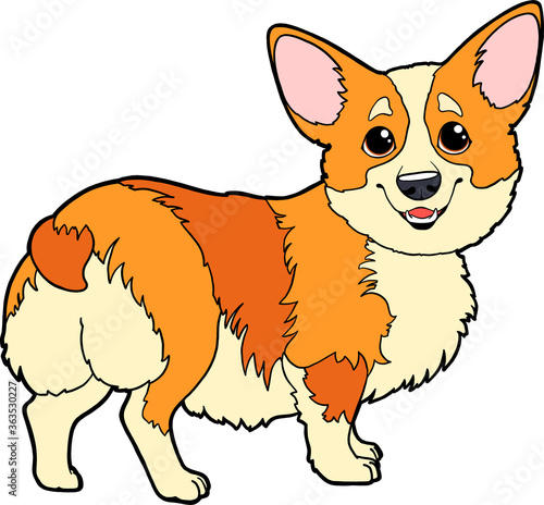 Cute cartoon character Corgi dog. Vector corgi puppy on a white background isolated. Encyclopedia page, dog breeds.