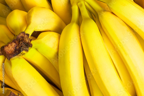 Yellow banana. Background of bananas. Fruits. Food background