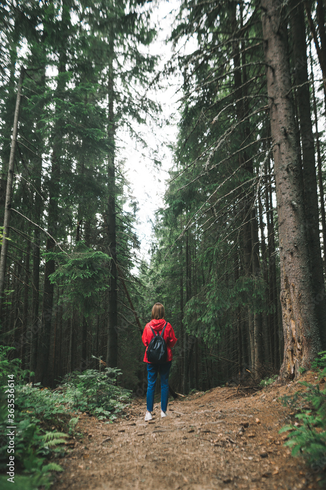Vertical full-length photo, back view on tourist girl in a red jacket, with a backpack in the mountain forest. A hiker woman wearing a red raincoat is among the tall trees in the woods. Copyspace.