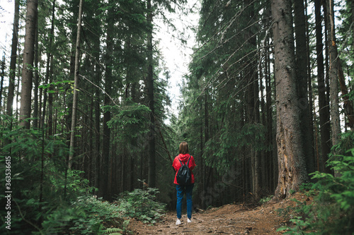Minimalistic full-length photo, back view on tourist girl in a red jacket, with a backpack in the mountain forest. A hiker woman wearing a red raincoat is among the tall trees in the woods. Copyspace.
