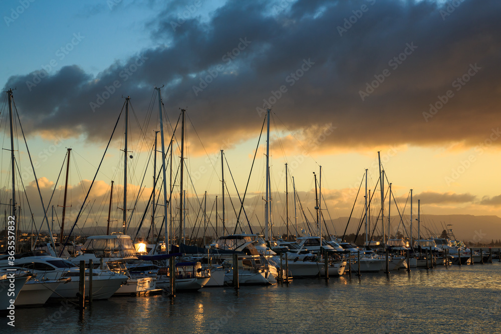 A marina packed with boats, lit up with golden sunset light