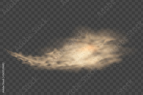 Dust cloud, sand storm, powder spray. Desert sandstorm. Sand storm, beige powder explosion, desert wind concept. 