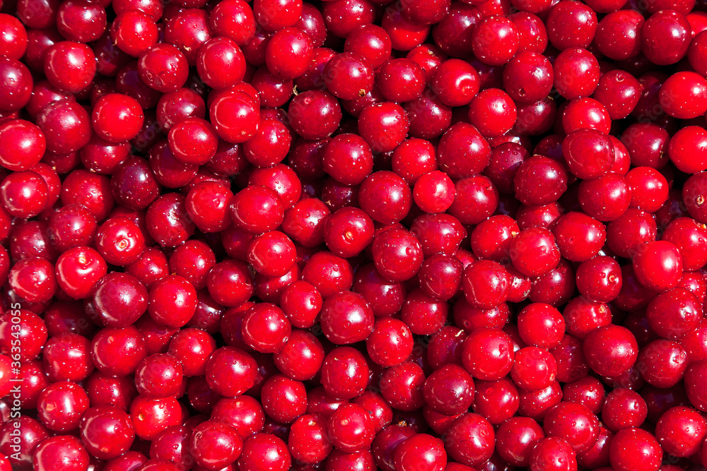 Red Cherry Background Red Cherry Background
