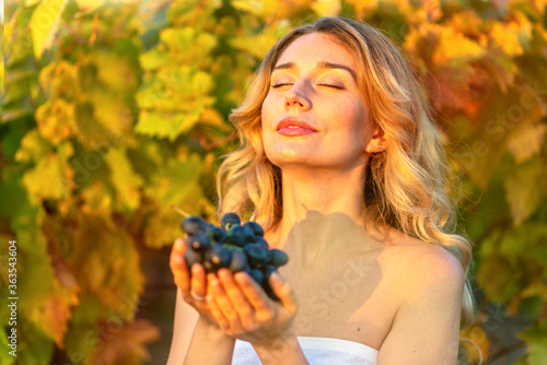 woman passionate collecting grapes from the vineyard. Vintage retro styles