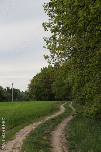 Rural landscape in spring season