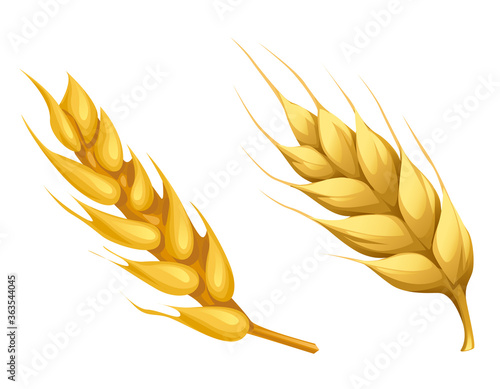  nature volume yellow spikelets