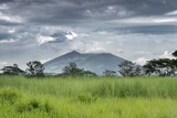 Grassy Field and Beautiful Volcano in Distance at Dusk - Mt. Arayat, Pampanga, Luzon, Philippines