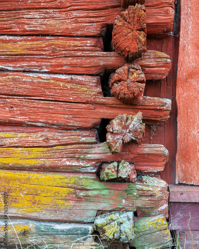 Old log house photo