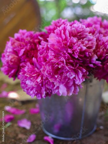 Wallpaper Mural peonies Torontodigital.ca