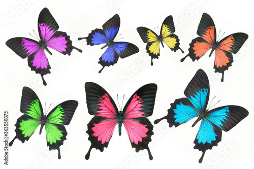Set of beautiful butterflies isolated on white background © chamnan phanthong