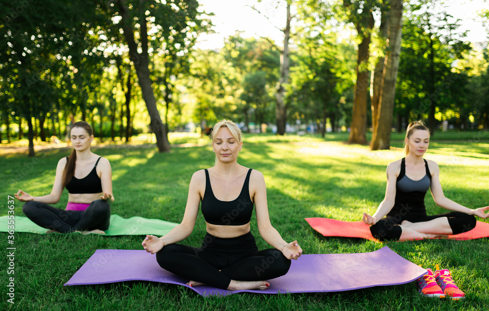  young people doing aerobics exercises together outdoors in a park  tree women, in a healthy active lifestyle . meditate in the park, relaxation. Pretty woman practicing yoga on the grass