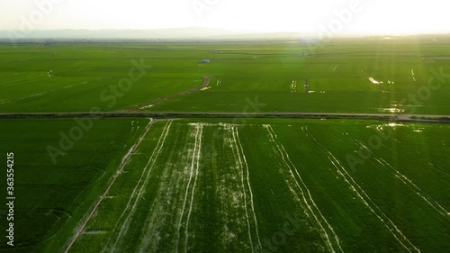 Wetland rice fields in valencia spain aerial view