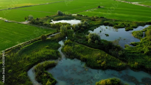 Wetland rice fields in valencia spain aerial view