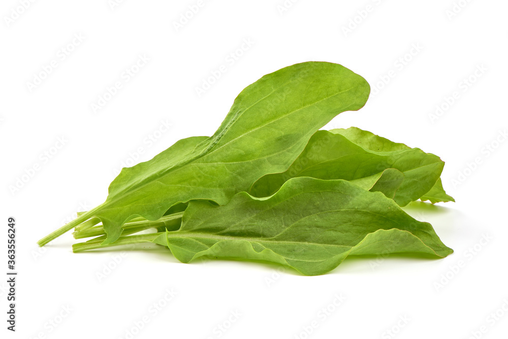 Fresh leaves of spinach, isolated on a white background Fresh leaves of spinach, isolated on a white background