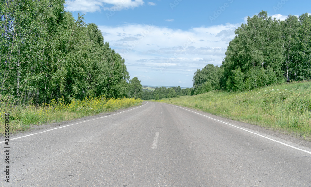 road in the forest