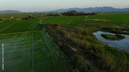 Wetland rice fields in valencia spain aerial view