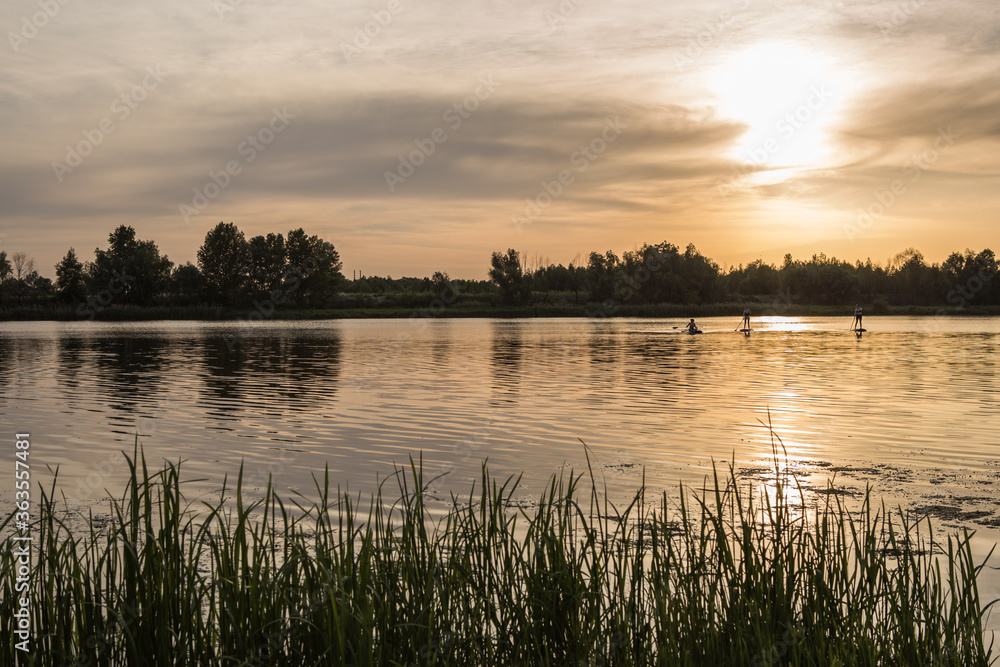 Summer, vacation, sup paddleboarding or surfing, travel, lifestyle concept. Sunset by the river. landscape with a tree  during sunset in warm colors