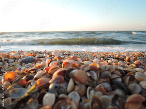 Beautiful seashell beach at sunset by the sea, selective focus