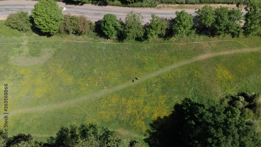 Kenilworth Suburbs Buttercup Meadow Drone Aerial View Panning Up To Coventry City Spring Season Kenilworth Suburbs Buttercup Meadow Drone Aerial View Panning Up To Coventry City Spring Season
