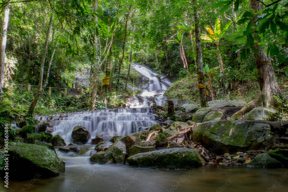 Fototapeta premium waterfall in the forest