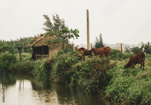 Lakeside Hut