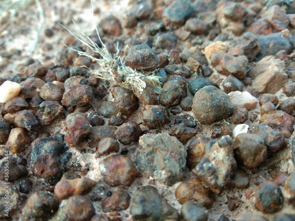 The beauty that nature creates The beauty that nature creates