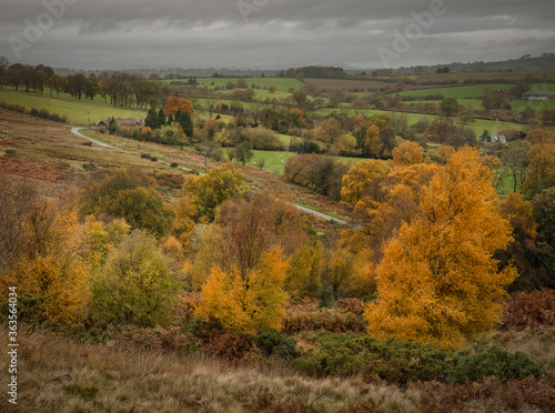 Autumn Rural Landscape
