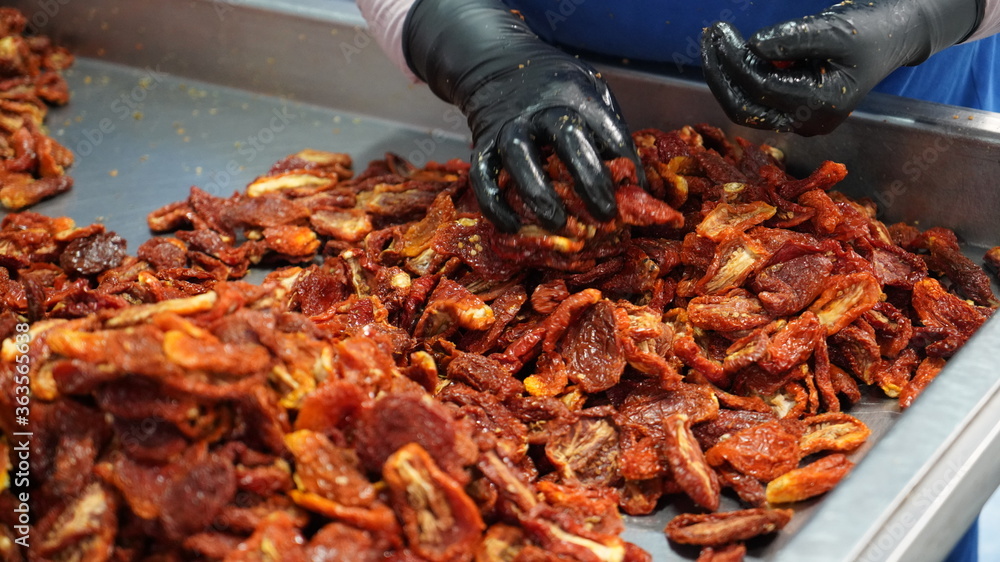 Fotografie dried tomato production line