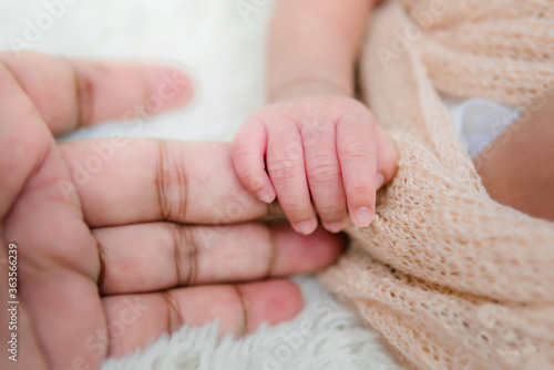 newborn baby feet in hand