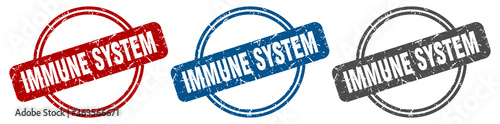 immune system stamp. immune system sign. immune system label set