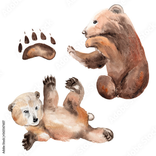 watercolor drawing of animals - teddy bear and footprint