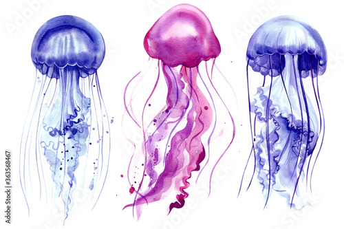 bright jellyfish watercolor drawings on a white background.