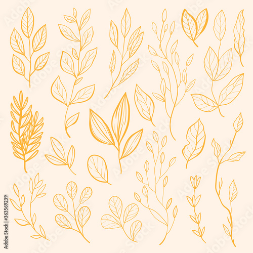 Beautiful colourful autumn leaves . Vector flat illustration