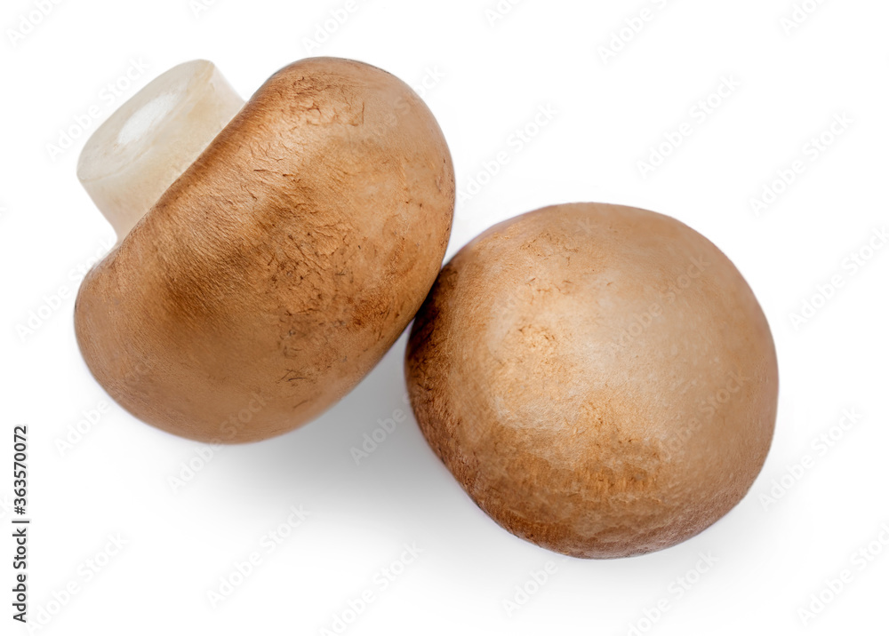 Fototapeta premium Fresh champignon mushrooms isolated on white background. top view. Champignon macro object.