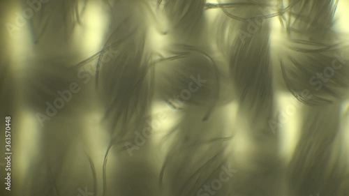 Close up shooting in detail of fabric. Microscopy of textile, checking quality control of fabric.