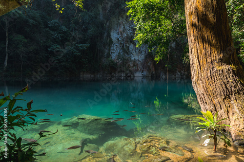 Scenic view of Lampang emerald pool  Lom phu kiew  Thailand