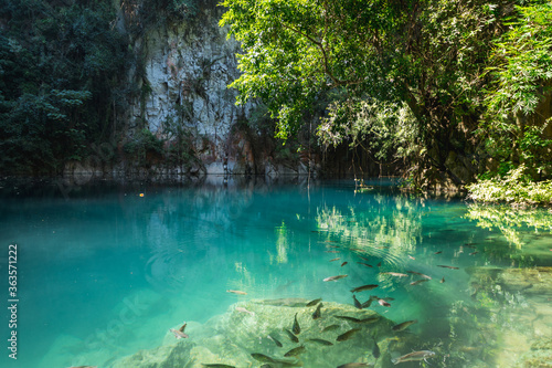 Scenic view of Lampang emerald pool; Lom phu kiew, Thailand