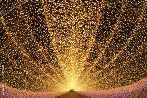 なばなの里・光のトンネル