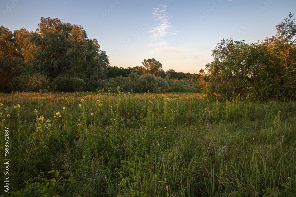 Obraz premium Sunset on a meadow over the river