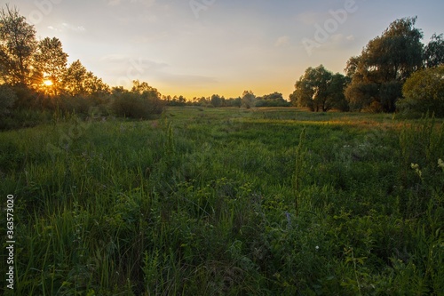 Sunset on a meadow over the river