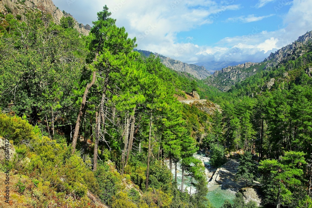Corsica-view of the pass and river Restonica