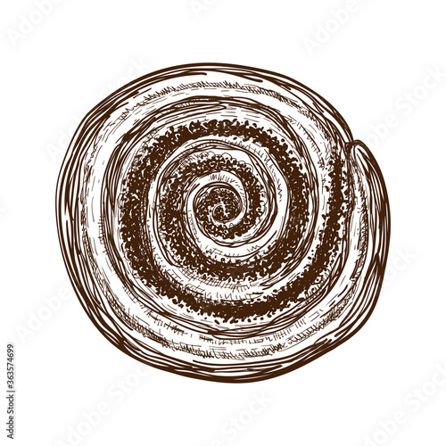 hand drawn sweet bun or roll with cinnamon or filled with poppy seeds. pastry sketch. Vector illustration of traditional dessert. poppy bun for breakfast top view. cinnamon or cocoa snail, tasty swirl